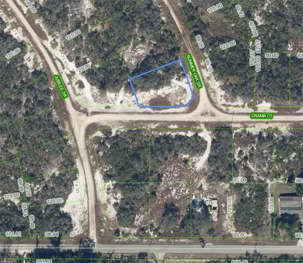 110 SUMMER OAK DR, Lake Placid, FL 33852