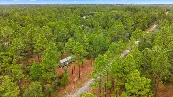 10890 SE 133RD AVE, Dunnellon, FL 34431