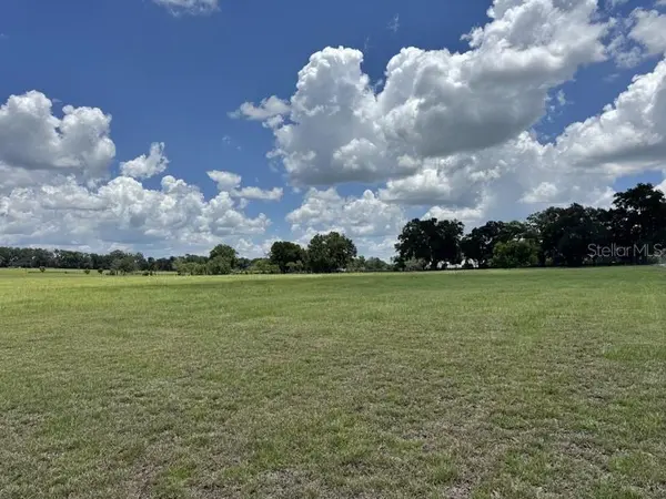 NW 131 ST, Reddick, FL 32686