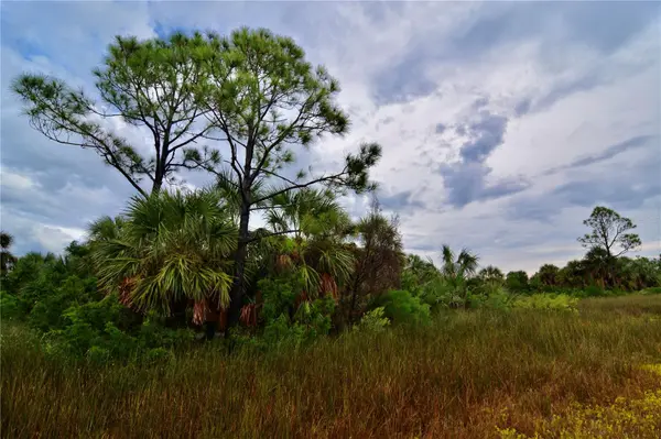 00 LOTS 18,19 ADAMS BEACH ROAD, Perry, FL 32348