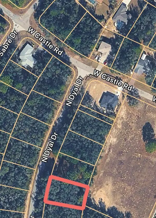 10161 N DYAL DR, Citrus Springs, FL 34434