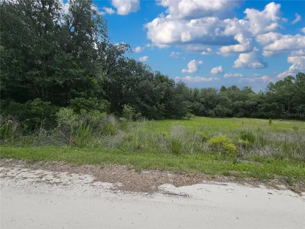 11751 SE 57TH ST, Morriston, FL 32668