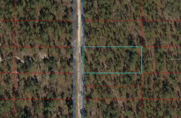 00 SW 134TH CT, Dunnellon, FL 34431
