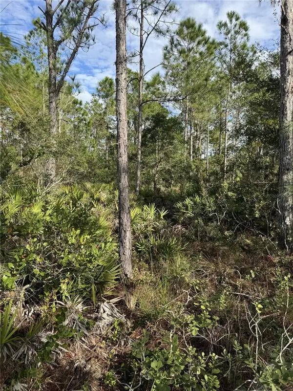 TBD, Frostproof, FL 33843