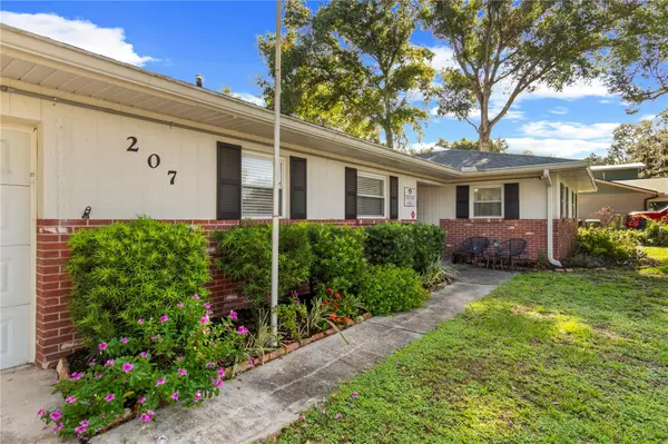 207 W WHEELER RD, Seffner, FL 33584