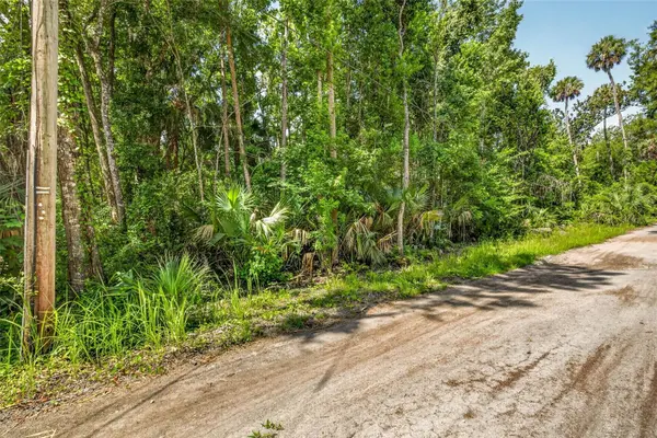 4626 S FLAMBEAU LOOP, Homosassa, FL 34448