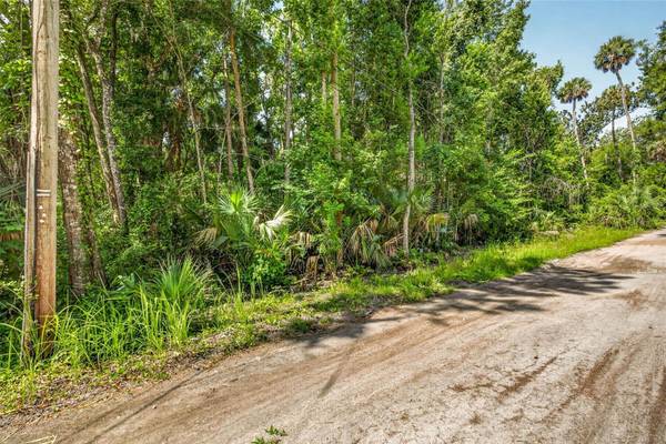4626 S FLAMBEAU LOOP, Homosassa, FL 34448