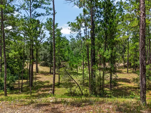 8355 N ORTON WAY, Dunnellon, FL 34434