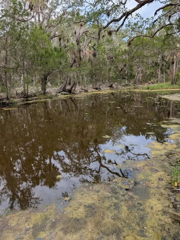 0 SE BEE TREE RD, Gulf Hammock, FL 32639