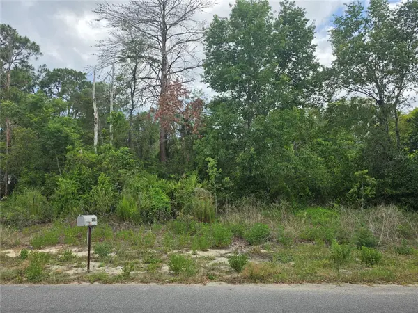 3475 EL PRADO AVE, Spring Hill, FL 34609