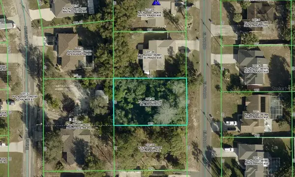 3475 EL PRADO AVE, Spring Hill, FL 34609