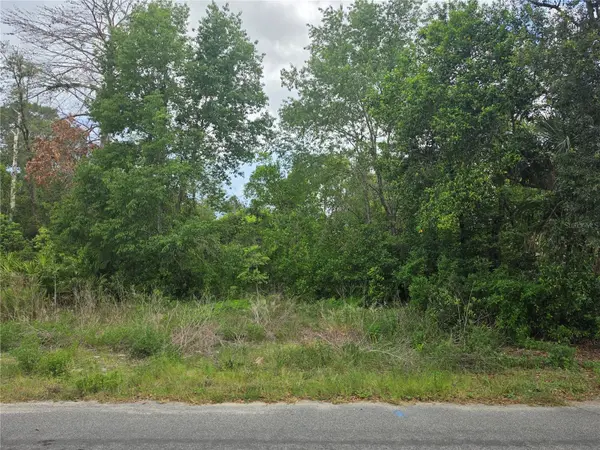 3475 EL PRADO AVE, Spring Hill, FL 34609