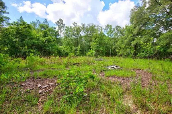 3450 NE 48TH AVE, High Springs, FL 32643