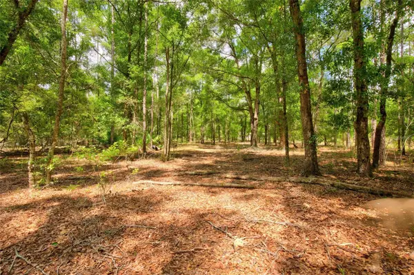 3450 NE 48TH AVE, High Springs, FL 32643