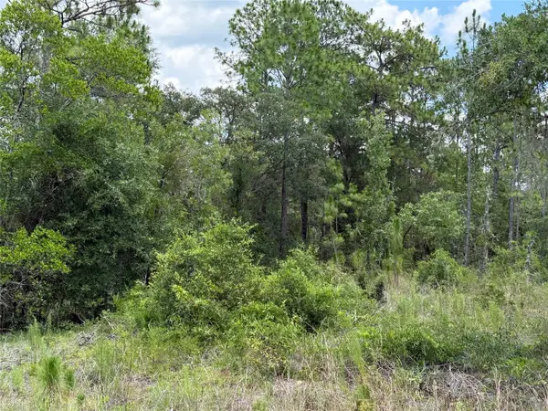 00 NE 65TH TER, Williston, FL 32696