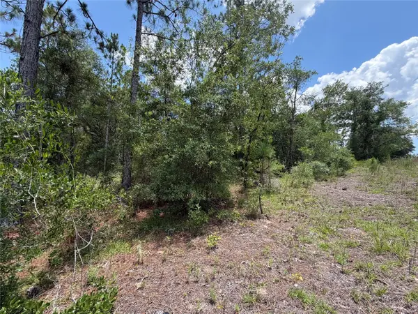 00 NE 65TH TER, Williston, FL 32696