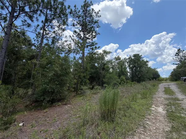 00 NE 65TH TER, Williston, FL 32696