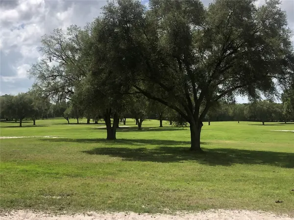 00 SE 30TH STREET, Morriston, FL 32668
