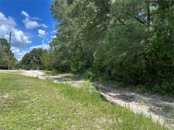 0000 NE 157TH TER, Williston, FL 32696