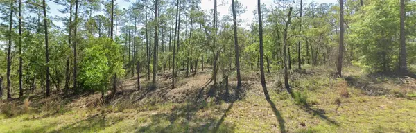 00 SW SW ZINNIA CT, Dunnellon, FL 34431