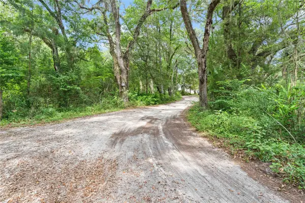 151 NE 164TH AVE, Williston, FL 32696