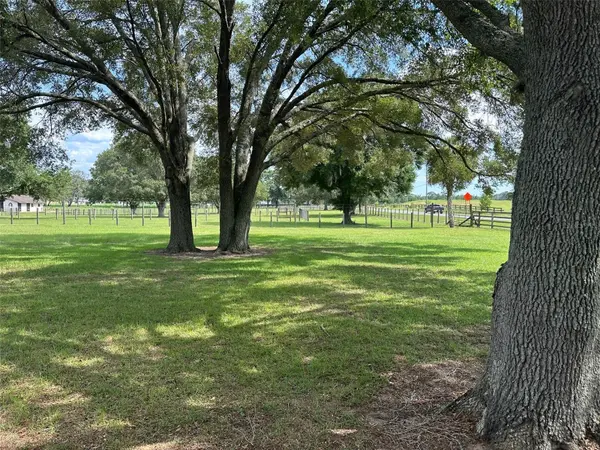 905 NW 80TH AVE, Ocala, FL 34482