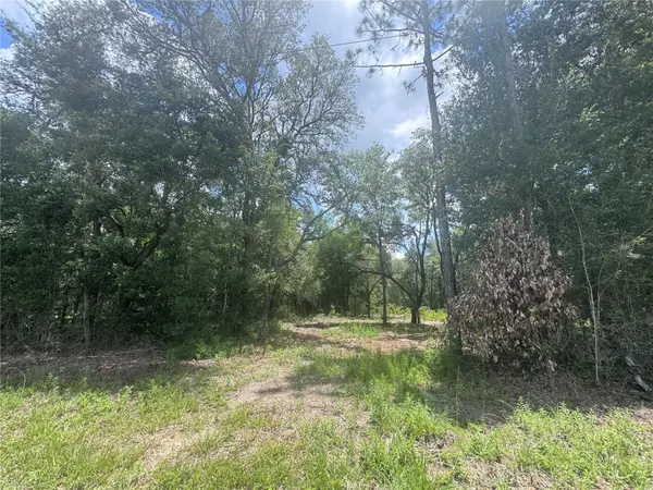 751 NE 139TH AVE, Williston, FL 32696