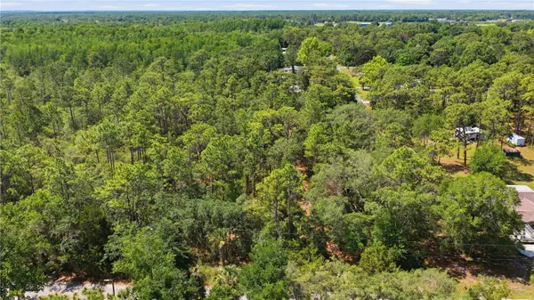 8266 W ANNA GAIL LN, Crystal River, FL 34429