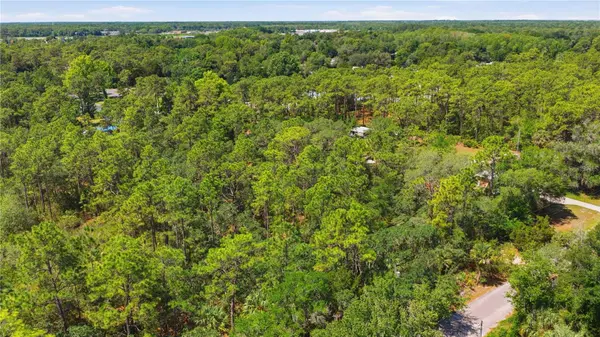 8266 W ANNA GAIL LN, Crystal River, FL 34429