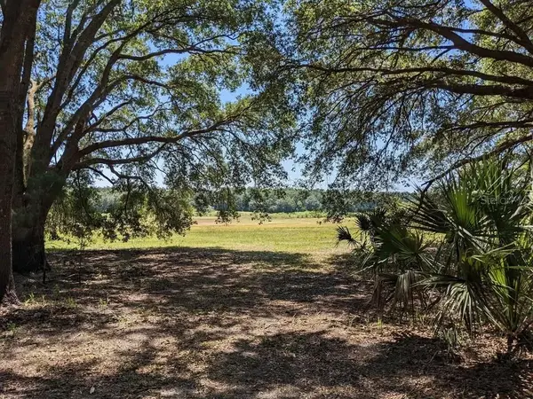 00 NW 60TH AVE, Chiefland, FL 32626
