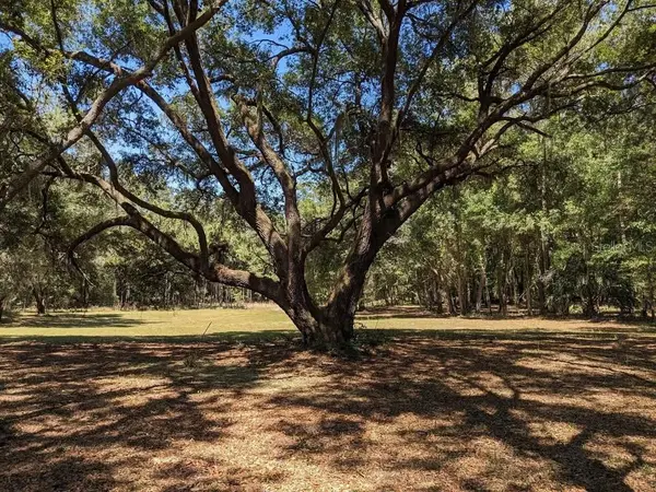 00 NW 60TH AVE, Chiefland, FL 32626