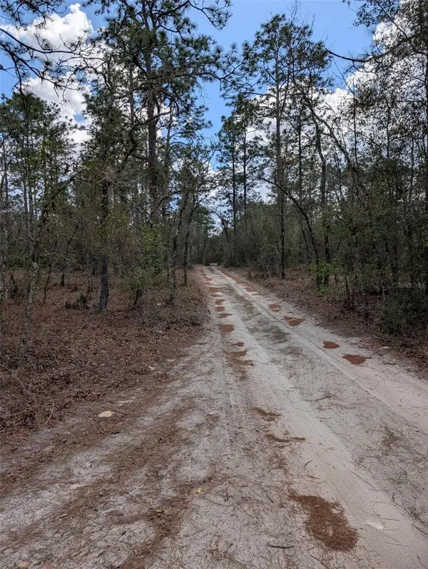 0 SW 90TH ST, Dunnellon, FL 34432