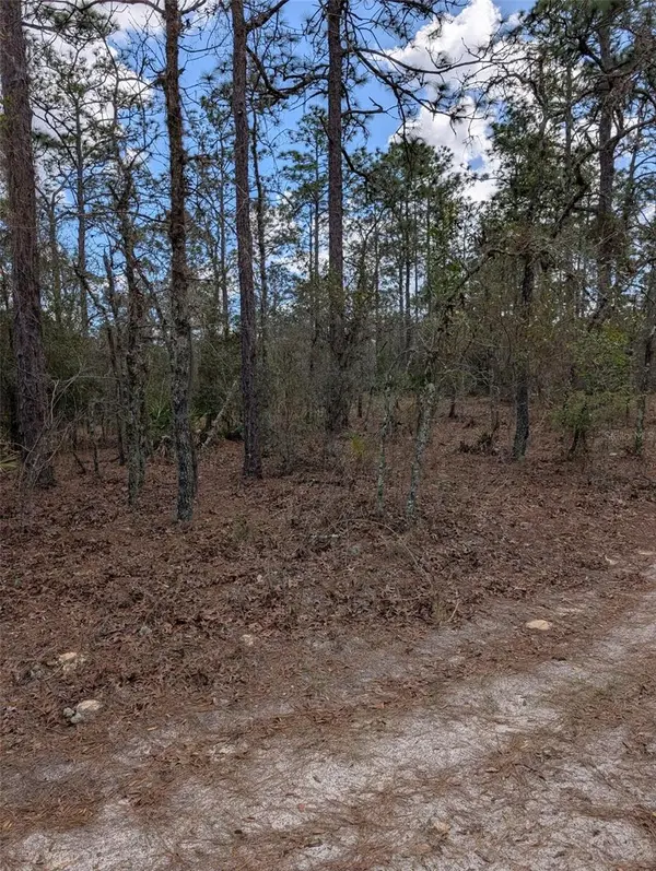 0 SW 90TH ST, Dunnellon, FL 34432