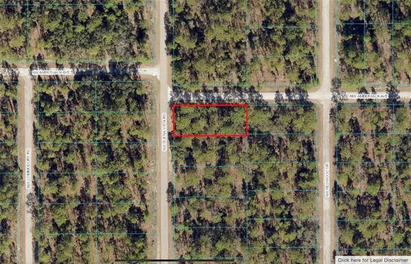00 SW BUENA VISTA RD, Dunnellon, FL 34431