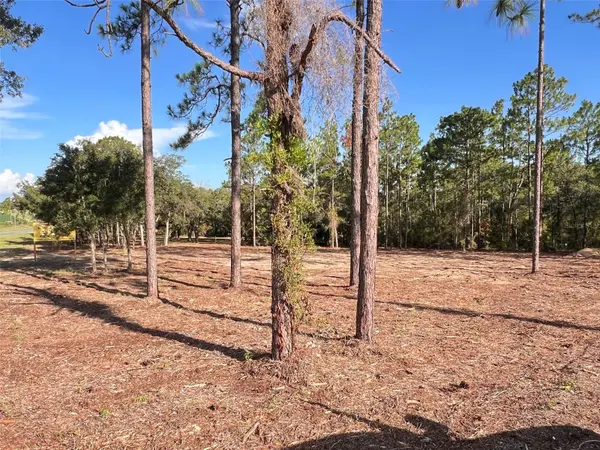 LEVY STREET, Williston, FL 32696