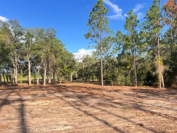 LEVY STREET, Williston, FL 32696