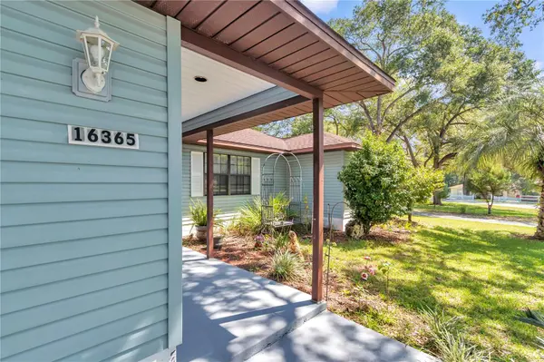 16365 SE 17TH ST, Ocklawaha, FL 32179