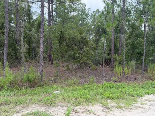 00 SW 131 AVE, Ocala, FL 34481
