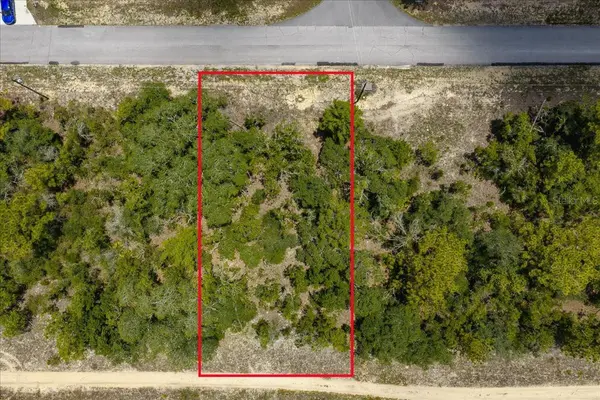 6830 N SANDBORN LOOP, Citrus Springs, FL 34433