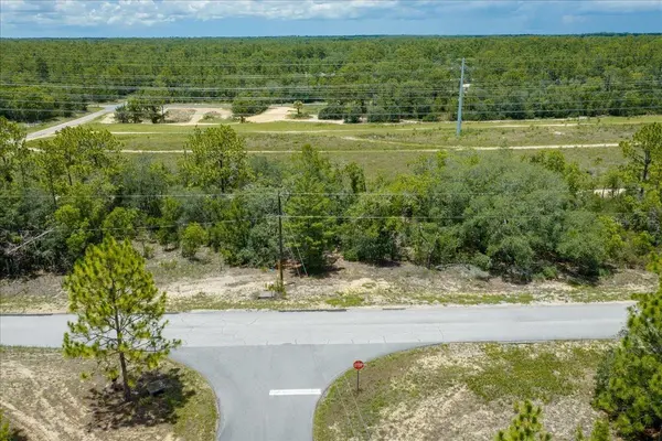 6830 N SANDBORN LOOP, Citrus Springs, FL 34433