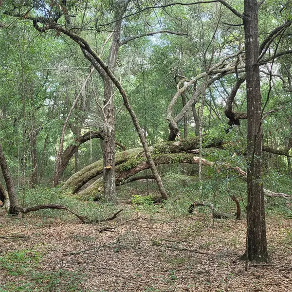 5967 NE 63RD ST, Silver Springs, FL 34488