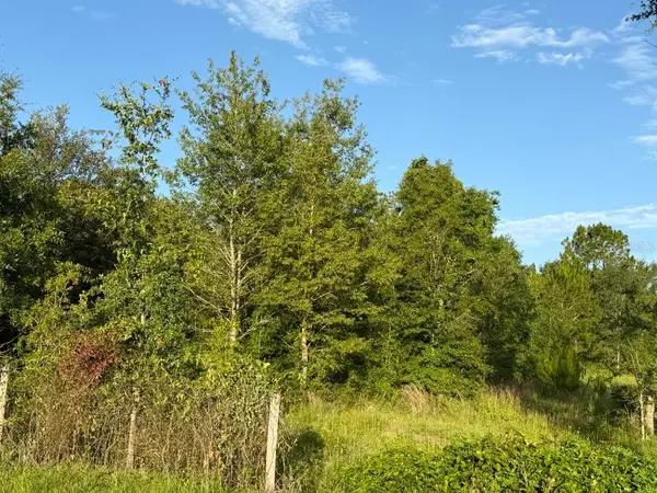 NE 160TH AVE, Williston, FL 32696
