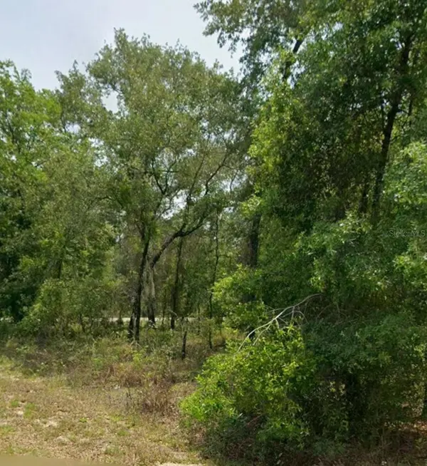 00 NW HIGHVIEW AVE, Dunnellon, FL 34431