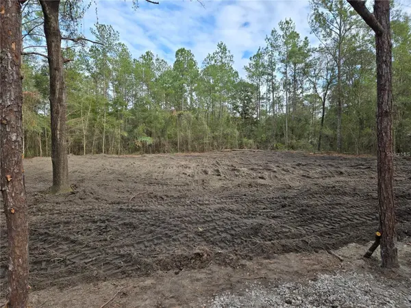 NE 127TH CT, Williston, FL 32696