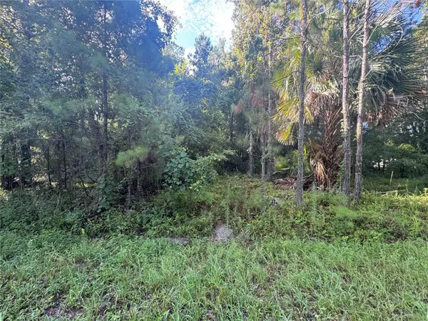 TBD SEQUOIA LOOP DR, Ocklawaha, FL 32179