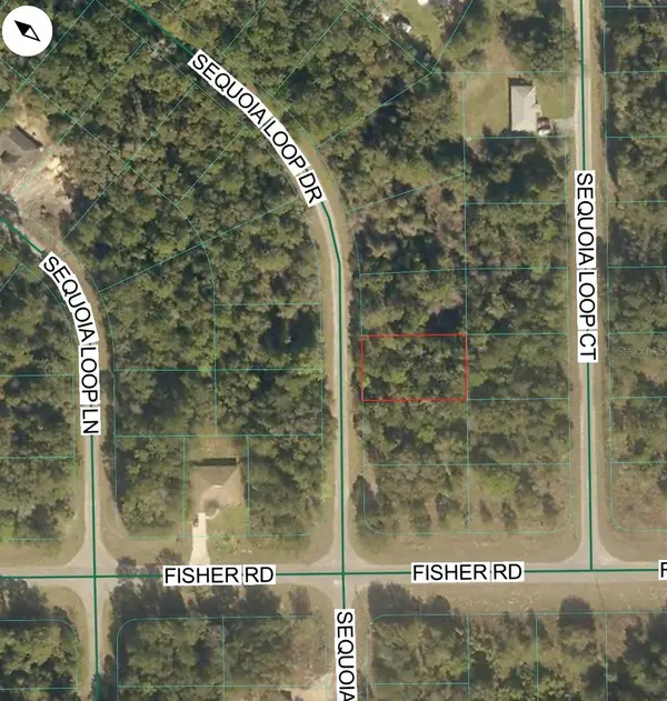 TBD SEQUOIA LOOP DR, Ocklawaha, FL 32179