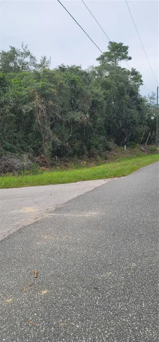 Lot 15 OLIVE WAY, Ocala, FL 34472