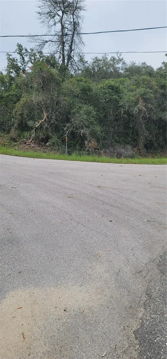 Lot 15 OLIVE WAY, Ocala, FL 34472