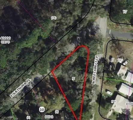 6650 N BEECHNUT LOOP, Hernando, FL 34442