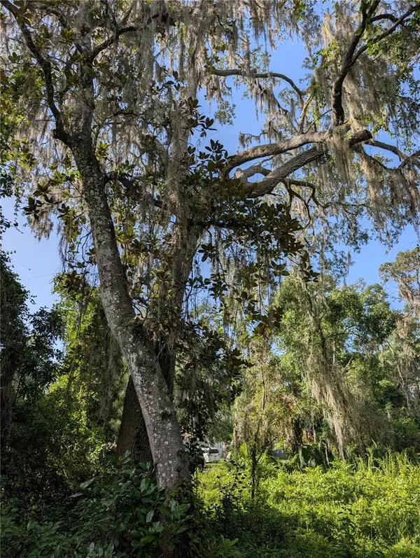 6650 N BEECHNUT LOOP, Hernando, FL 34442